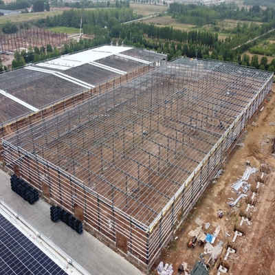 クレーン付き製鋼倉庫 - Q235B/Q355B素材