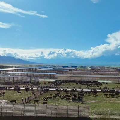 50年寿命のプリファブ・ガルバナイズド・ステール・ストラクチャ・倉庫