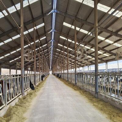 プリファブリックビルド 鶏屋 鋼筋構造 鶏場 鶏場 牛棚用鋼筋建築枠