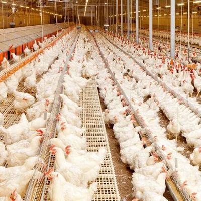 プリファブ 鋼製 鶏造り 灯具 構造 Q235B Q355B