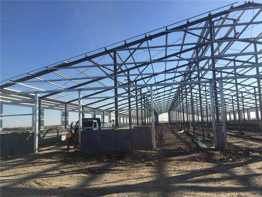 牛乳処理工場用Q355Bプレハブ鋼構造建物