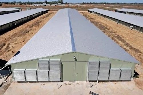 コンピュータデザイン 広範囲鋼材 作業場 組み立てが簡単 工場価格 軽鋼構造 倉庫