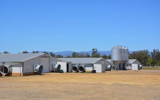 鳥居 プリファブリック 鋼鉄 構造 サンドイッチパネル付き 鶏屋 鋼鉄