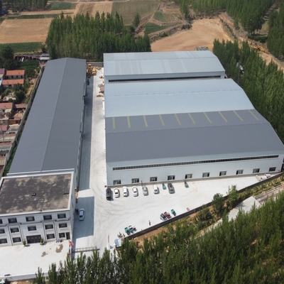 クレーン付き製鋼倉庫 - Q235B/Q355B素材