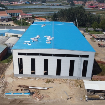 プリファブ 製鋼倉庫構造 Q235B Q355B ASTM A36