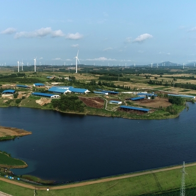鳥類,層,繁殖農場のための家禽屋 断熱パネルと換気システムを持つ製鉄構造