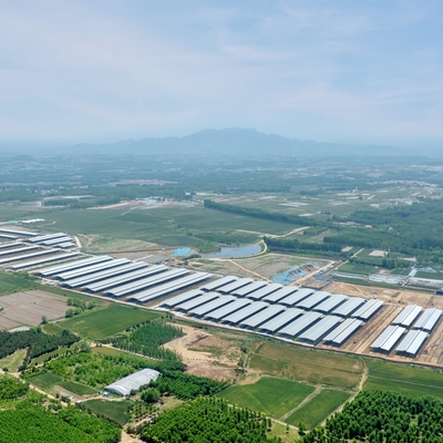 50年寿命のプリファブ・ガルバナイズド・ステール・ストラクチャ・倉庫