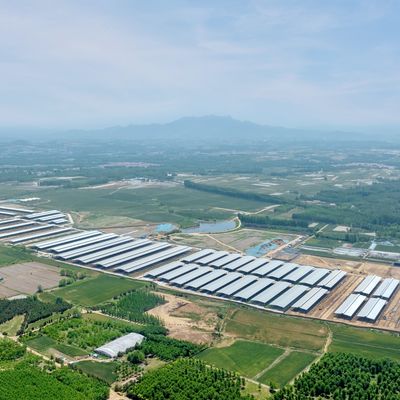 耐久性のある表面処理と長寿命を備えたプレハブ鋼構造モジュール式牛舎鋼構造物