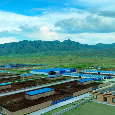 50年寿命のプリファブ・ガルバナイズド・ステール・ストラクチャ・倉庫