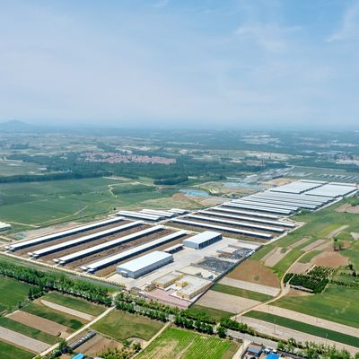 耐久性のある表面処理と長寿命を備えたプレハブ鋼構造モジュール式牛舎鋼構造物