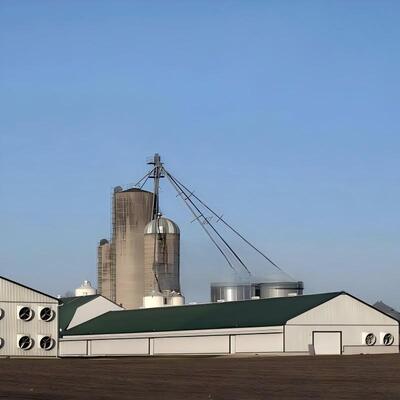 サイズ 120m×20m 断熱設計 プリファブリック 鋼鉄構造 鶏屋