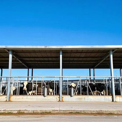 プリファブリックビルド 鶏屋 鋼筋構造 鶏場 鶏場 牛棚用鋼筋建築枠
