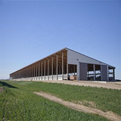プリファブリックビルド 鶏屋 鋼筋構造 鶏場 鶏場 牛棚用鋼筋建築枠