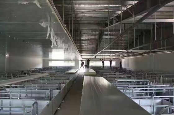 プリファブリックビルド 鶏屋 鋼筋構造 鶏場 鶏場 牛棚用鋼筋建築枠