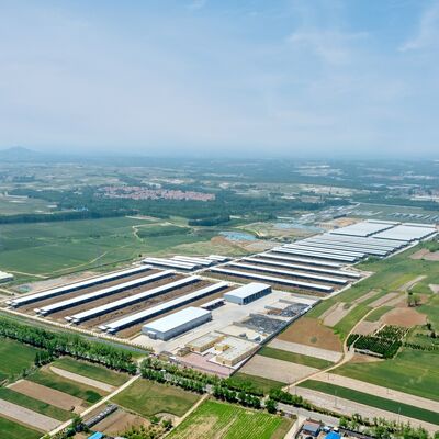 表面処理が付いている長い耐用年数のプレハブの鉄骨構造の牛小屋