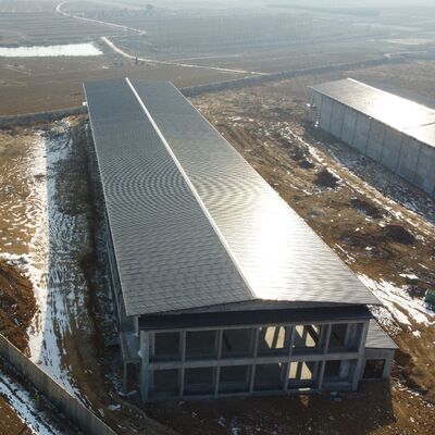 プレハブ鋼製鶏舎クイックボルトアセンブリ特別な工具は不要