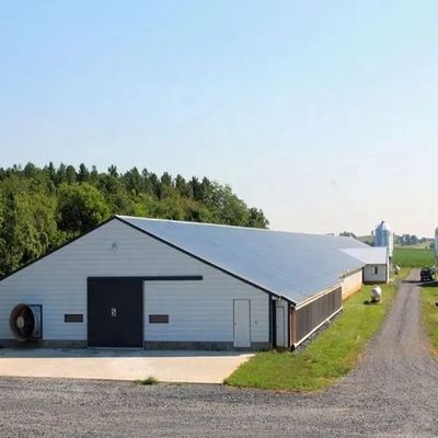 耐久性のある鋼製の家禽屋 適量化可能 効果的な 簡単に組み立てられる 現代の農場